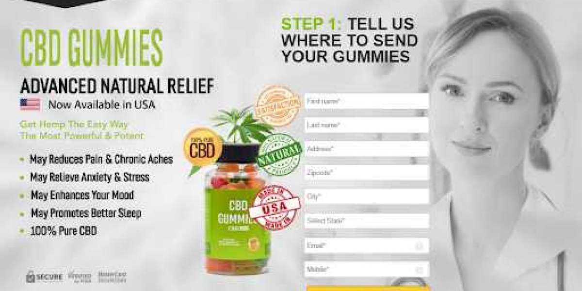 What Alberto Savoia Can Teach You About BLOOM CBD GUMMIES
